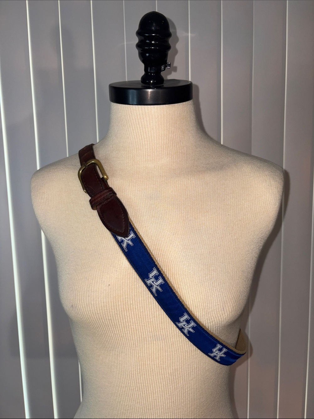 University of Kentucky Wildcats Ribbon Belt Leather Brass The Jardine Collection
